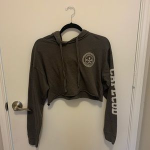 grey cape cod long sleeve hooded tee